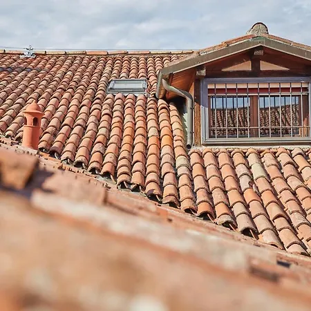 Attic City Center With Two Separate * Bolonya